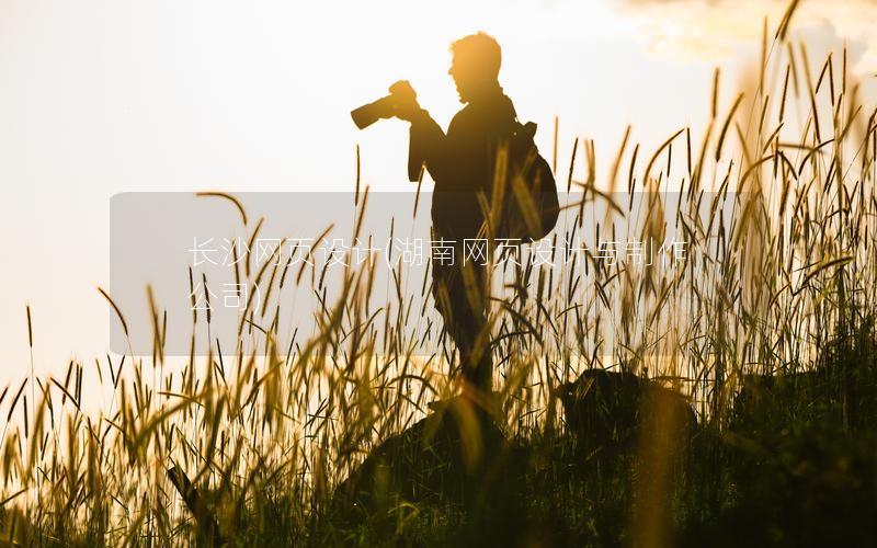 长沙网页设计(湖南网页设计与制作公司)